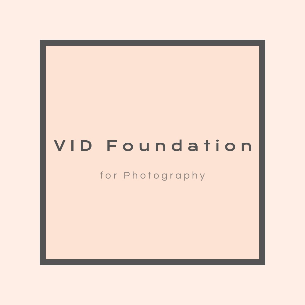 Logo-VID-Foundation